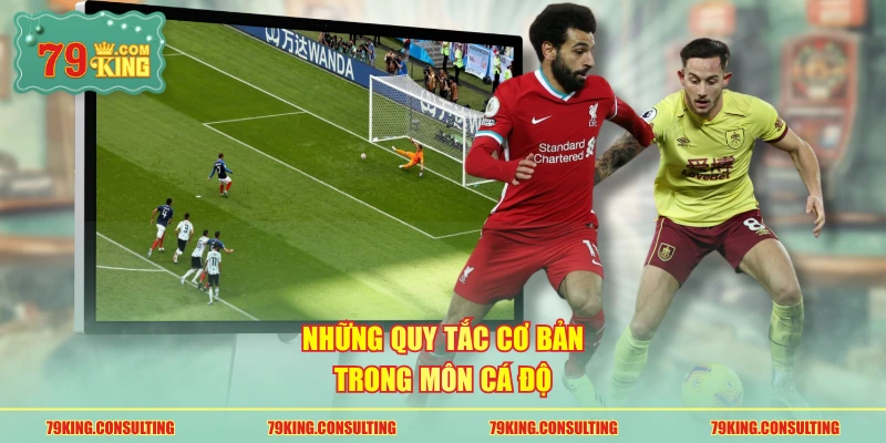 Những quy tắc cơ bản trong môn cá độ